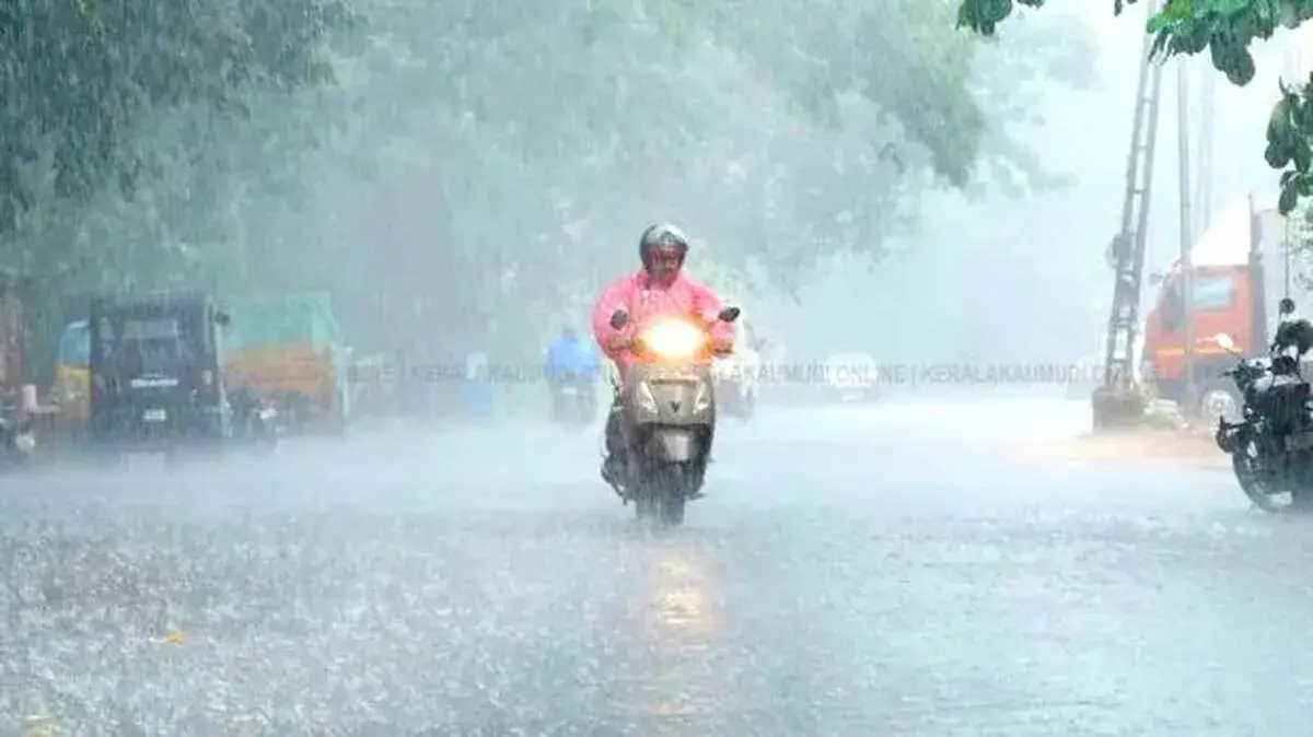 rain