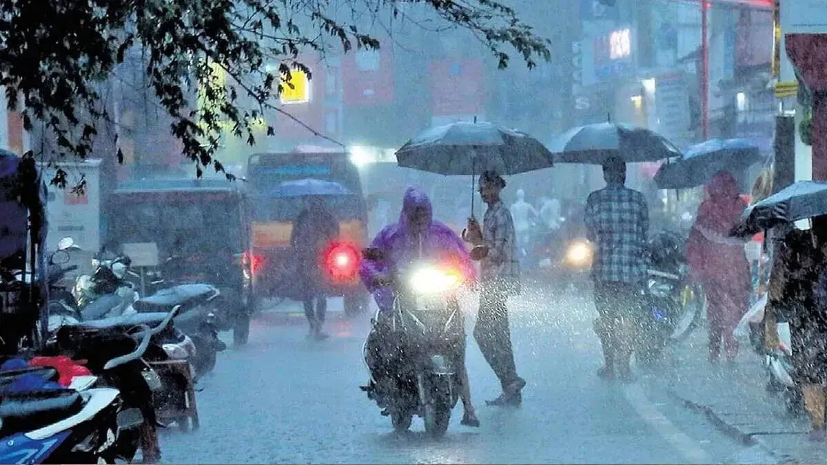 rain